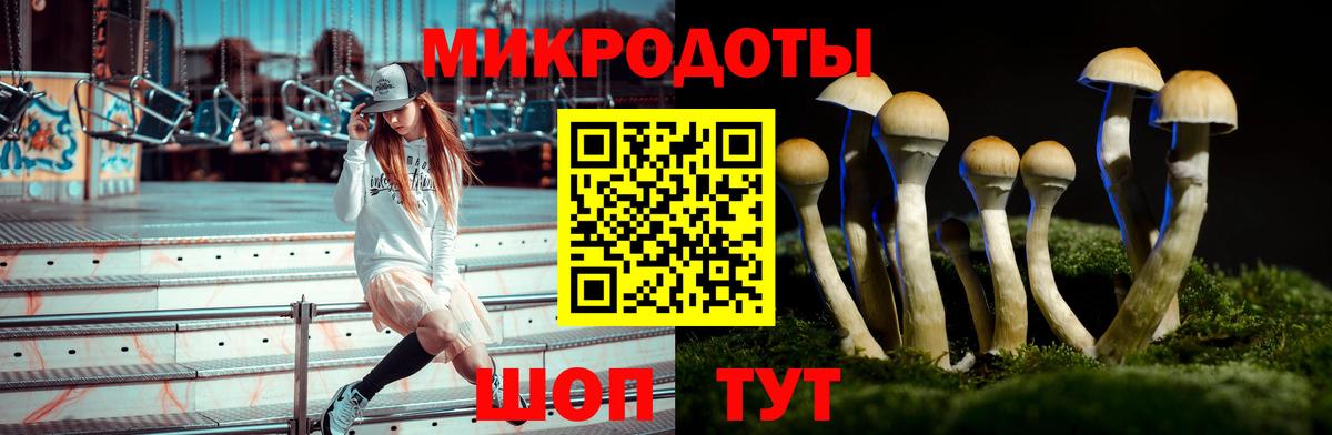 Галлюциногенные грибы GOLDEN TEACHER Крымск